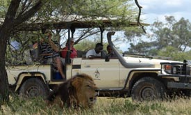 Botswana Safari Tours